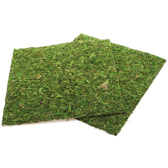 Фон з натурального моху Repti-Zoo Natural Moss Back &amp;amp; Bottom 30x30см 2 шт (NCM3030) для тераріуму