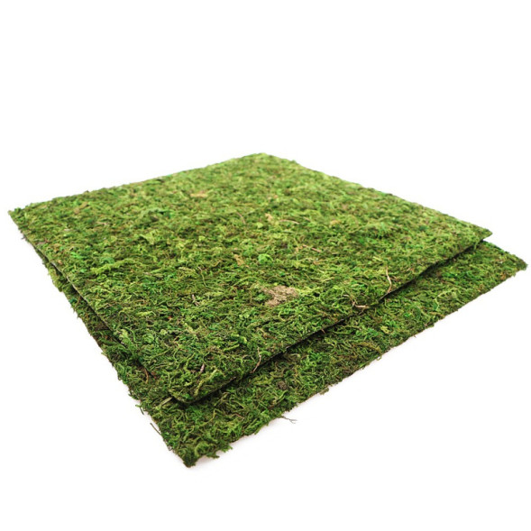 Фон з натурального моху Repti-Zoo Natural Moss Back &amp;amp; Bottom 30x30см 2 шт (NCM3030) для тераріуму