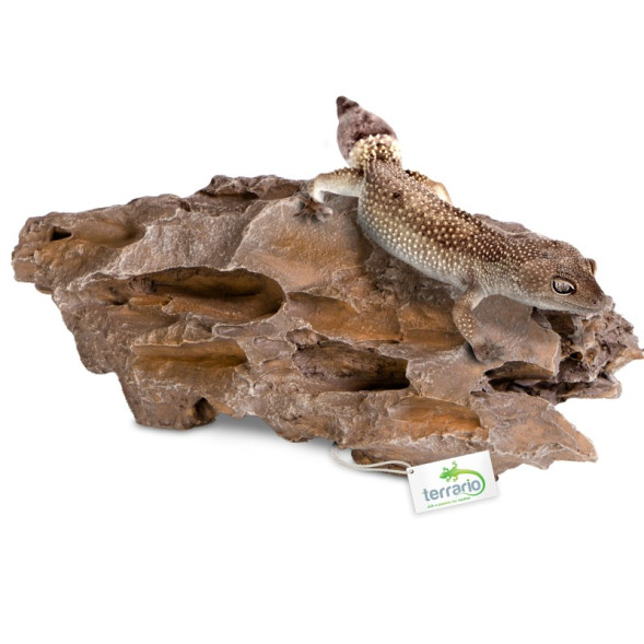 Декорація укриття Terrario Dragon Stone S 22x12x7см (22127)