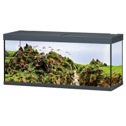 Аквариум Eheim vivaline LED 240 1x16.3W (LED) антрацитовый без тумбы (0613079)
