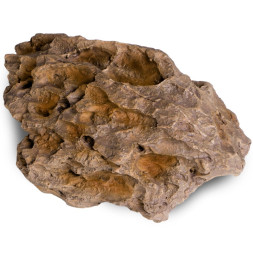 Декорация укрытие Terrario Dragon Stone M 22x15x8см (23149)
