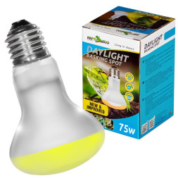 Лампа точечного нагрева Repti-Zoo Daylight Basking Spot 75W (BSL75) с UVA для рептилий
