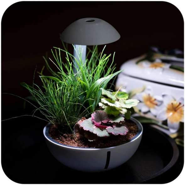 Мінітераріум Chihiros Tiny Terrarium Egg з LED-підсвіткою та керуванням через застосунок