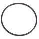 Ущільнююче кільце кришки насосу для Eheim Professionel 1/3 (2080/2180, 2226-2328/2227-2329) (7255058)
