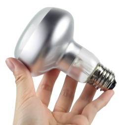 Лампа точкового обогрева Repti-Zoo Flat Type Heating Bulb 50W с UVA-лучами для террариумов (C63050A)