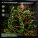 Штучна ліана Hobby Jungle Vine 2 100 см (37703) - гнучка декоративна рослина для тераріуму, акватераріуму та палюдаріуму