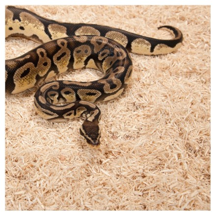Субстрат з тополі 2.4л Repti-Zoo Aspen Snake Bedding (SB001)