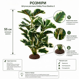 Штучна рослина Hobby Ficus Elastica 2 55 см (37706) для тераріуму, акватераріуму та палюдаріуму