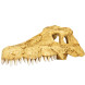 Крокодилячий череп Repti-Zoo Crocodile Skull M ERS34S 11x6x4 см - декоративне укриття для тераріуму та акваріуму