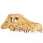 Череп крокодила Repti-Zoo Crocodile Skull S 11x6x4см (ERS34S)