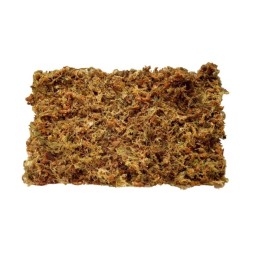 Сфагновый мох Repti-Zoo 4 л (SB032) из Камбоджи для террариумов с высокой влажностью
