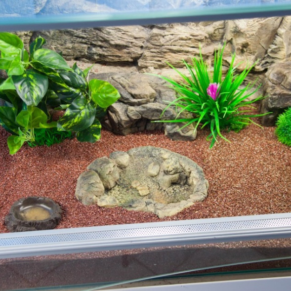 Басейн для тераріуму ATG Line  (33x29.5x10CM) (TB-03)