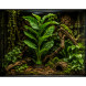 Штучна рослина Hobby Marantha Tree 55 см (37708) для тераріуму, акватераріуму та палюдаріуму