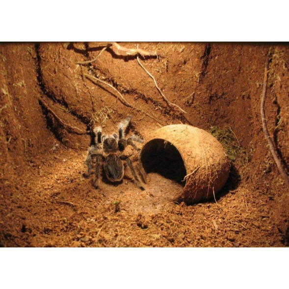 Підкладка з кокосового волокна Repti-Zoo Coconut fiber Substrate 8л (SB650)