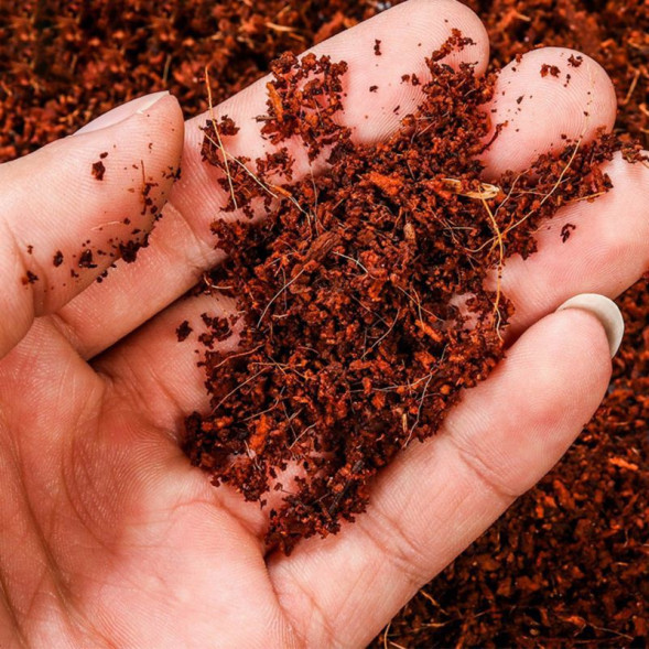 Тропічний субстрат Komodo Tropical Terrain 6 л (U46015) для терраріумів із високою вологістю