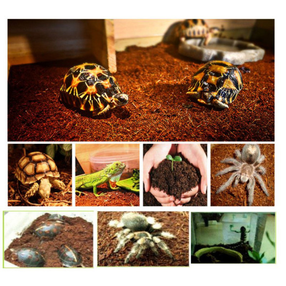 Тропічний субстрат Komodo Tropical Terrain 6 л (U46015) для терраріумів із високою вологістю