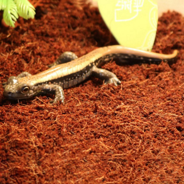 Тропічний субстрат Komodo Tropical Terrain 6 л (U46015) для терраріумів із високою вологістю