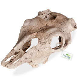 Декорація череп буйвола Terrario Buffalo Skull 21x12x8см (22128)