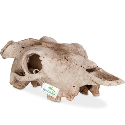 Декорація череп буйвола Terrario Buffalo Skull 21x12x8см (22128)
