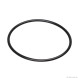 Ущільнююче кільце для Eheim universal 600 (1048/2048) (7264400)