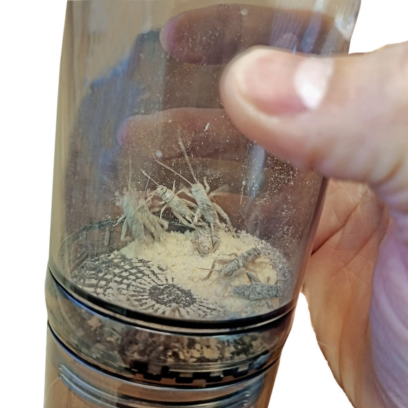 Вітамінізатор для комах Hobby Cricket Vitamizer (38090)