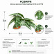 Штучна рослина Hobby Calathea 1 24×14 см (37714) для тераріуму, акватераріуму та палюдаріуму
