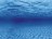 Акваріумний задній фон Aqua Nova Синє море/Камені з корчами 100x50см (TREE ROOTS/WATER L)