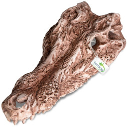Декорація череп крокодила Terrario Crocodile Skull 30x14x9см (A15911)