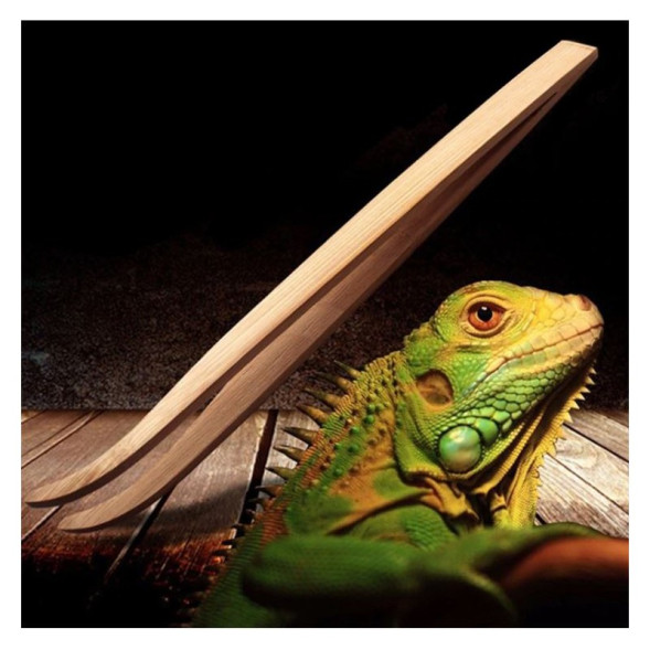 Бамбуковий вигнутий пінцет Repti-Zoo 28 см (FR09) для годування і догляду в тераріумі