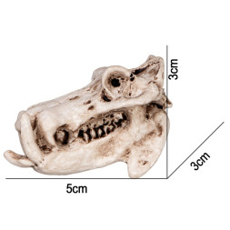 Декорація череп бегемота Terrario Hippo Skull 5x3x3см (533)