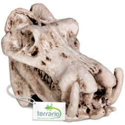 Декорація череп бегемота Terrario Hippo Skull 5x3x3см (533)