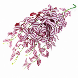 Искусственное растение Hobby Climber Purpurea 70 см (37726) для террариума, акватерариума и палюдариума