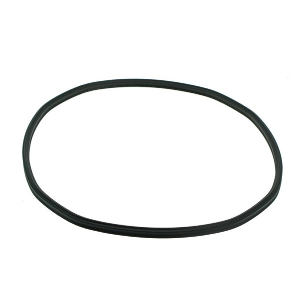 Ущільнювальна прокладка для Eheim Professionel 1 150/250 (2222-2324/2422/2424) (7343168)