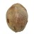 Укриття з кокоса (дупло для дрібних тварин) (kokos-duplo)