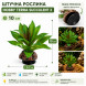 Штучна рослина Hobby Terra Succulent 2 10 см (37731) для тераріуму, акватераріуму та палюдаріуму