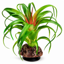 Штучна рослина Hobby Terra Succulent 3 14 см (37732) для тераріуму, акватераріуму та палюдаріуму