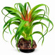 Штучна рослина Hobby Terra Succulent 3 14 см (37732) для тераріуму, акватераріуму та палюдаріуму