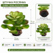 Штучна рослина Hobby Terra Succulent 4 17 см (37733) для тераріуму, акватераріуму та палюдаріуму