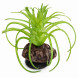 Штучна рослина Hobby Terra Succulent 5 8 см (37734) для тераріуму, акватераріуму та палюдаріуму