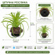 Штучна рослина Hobby Terra Succulent 5 8 см (37734) для тераріуму, акватераріуму та палюдаріуму