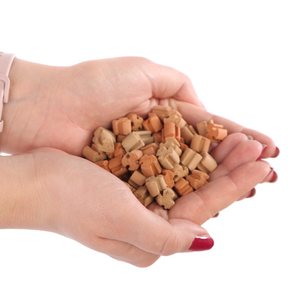 Наповнювач для біофільтрації з нейтральним pH Aquario Neo Media Pure S 1л