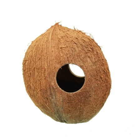 Будинок з кокоса з 3 отворами (волосатий) (kokos-home-v)