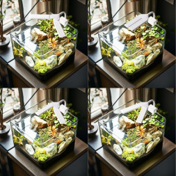 Светильник LED Kruger Meier VitaBeam V 8W для аквариумов 10-40 литров и растений