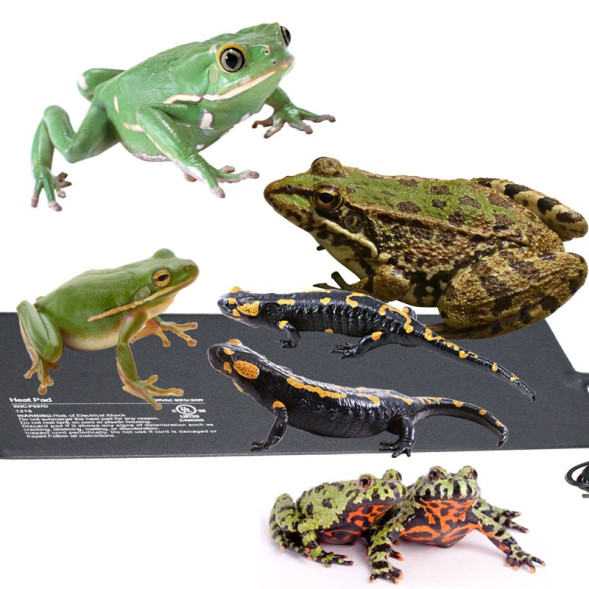 Нагрівальний мат водонепроникний Terrario Repti Pad PVC 40W 40x60см для тераріумів, котів, собак, птахів та рослин