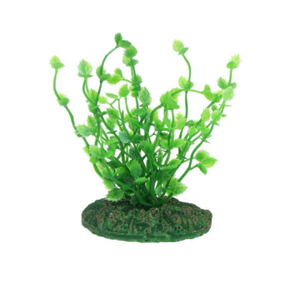Штучна рослина Aqua Nova NP-10 08013, 10см (NP-1008013)