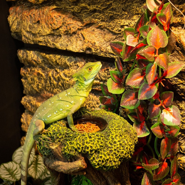 Фонтан поїлка Repti-Zoo Tree Waterfall (DF13) для рептилій та амфібій 1000 мл