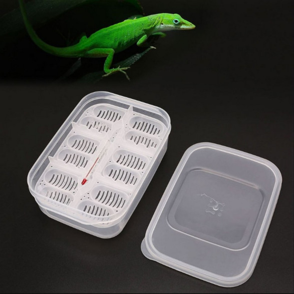 Інкубатор пластиковий Terrario EggIncubator на 12 яєць для рептилій і дрібних птахів