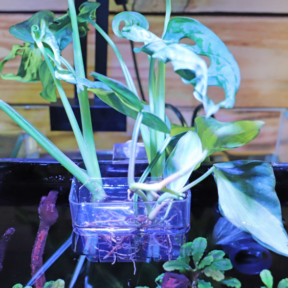 Контейнер для выращивания растений в аквариуме Hobby Plant basket 8×9×8см (61330)