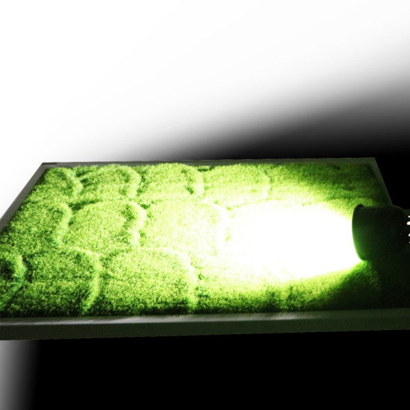 Світлодіодна лампа для тераріуму Repti-Zoo Mini LED 5W (LEDW01) - для рослин і тропічних тварин без перегріву