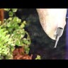 Поїлка Hobby Trickle Bark 300мл (36339)